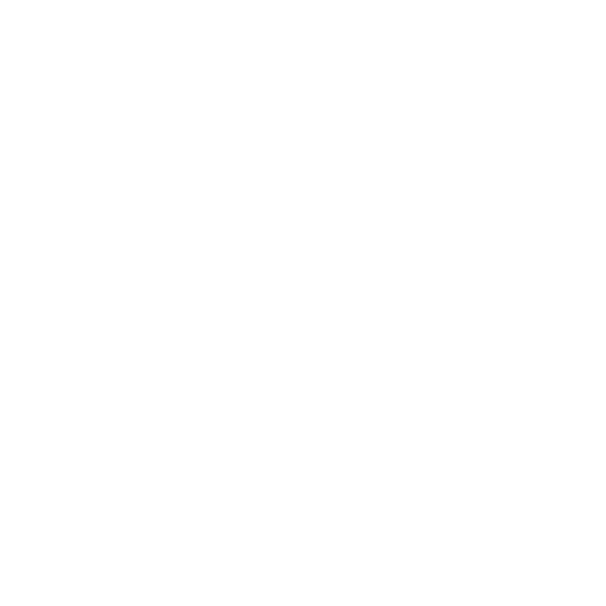 DGO Voyage
